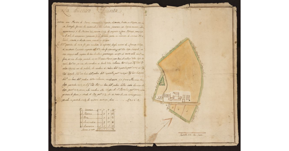 [Pianta del Podere sotto la Via di san Pantaleo allivellato a Lorenzo Galigani]