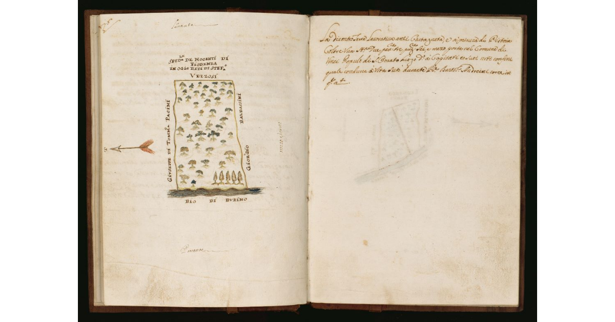 [Pianta di un terreno in Comune di Vinci di proprietà della Compagnia della Santissima Vergine dell'Humiltà detta di San Giuseppe di Pistoia]