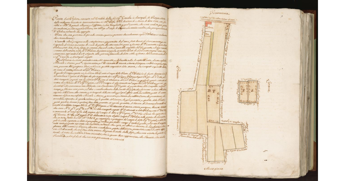 [Podere della] Eredità della fu Signora Canida Montopoli di Pistoia