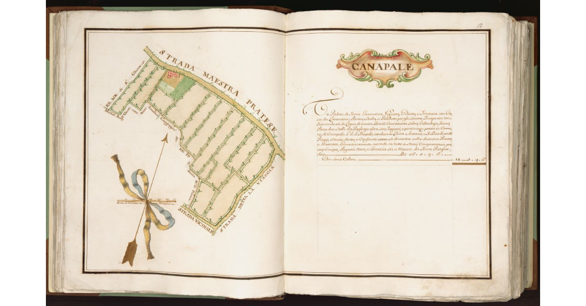 [Podere di] Canapale