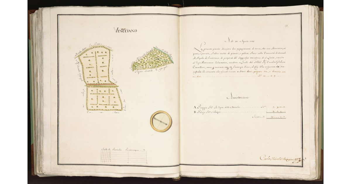 [Terre in] Vinacciano