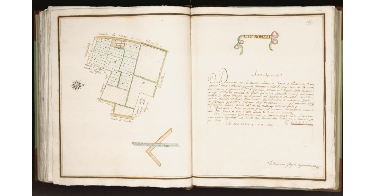 [Podere in] l. d. Bonelle