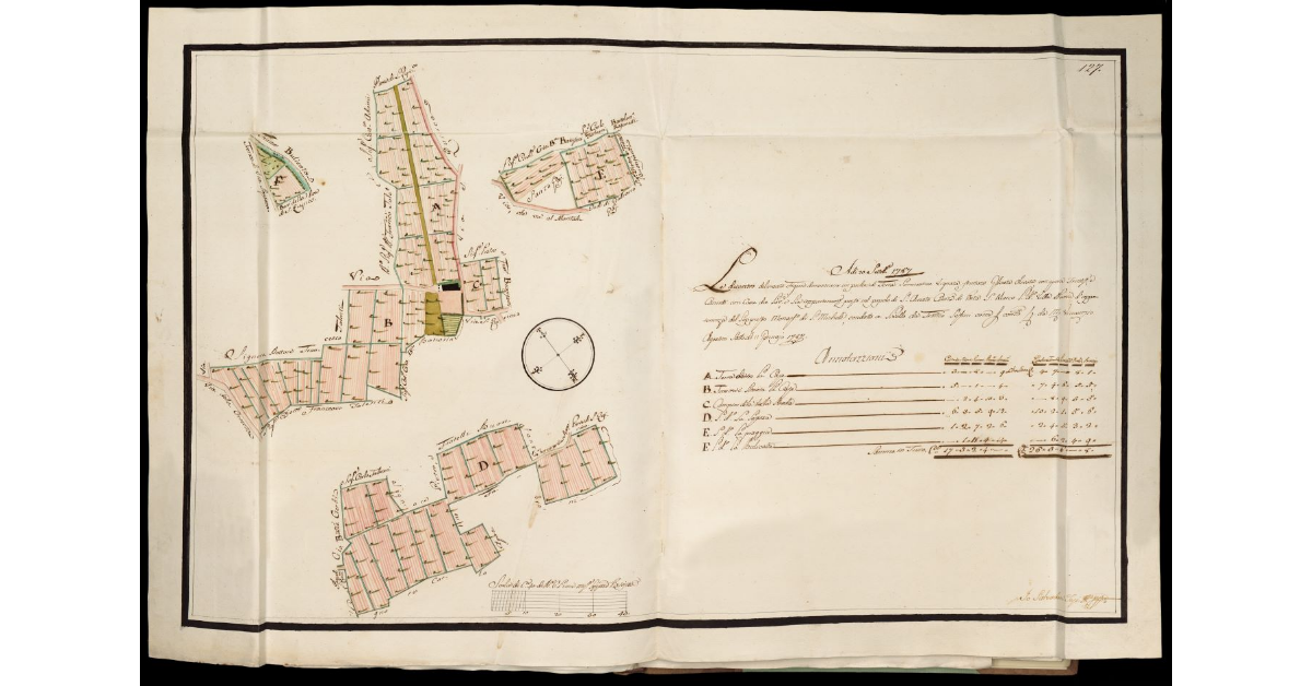 [Pianta del Podere di Villa Nuova nel Popolo di Sant'Amato]