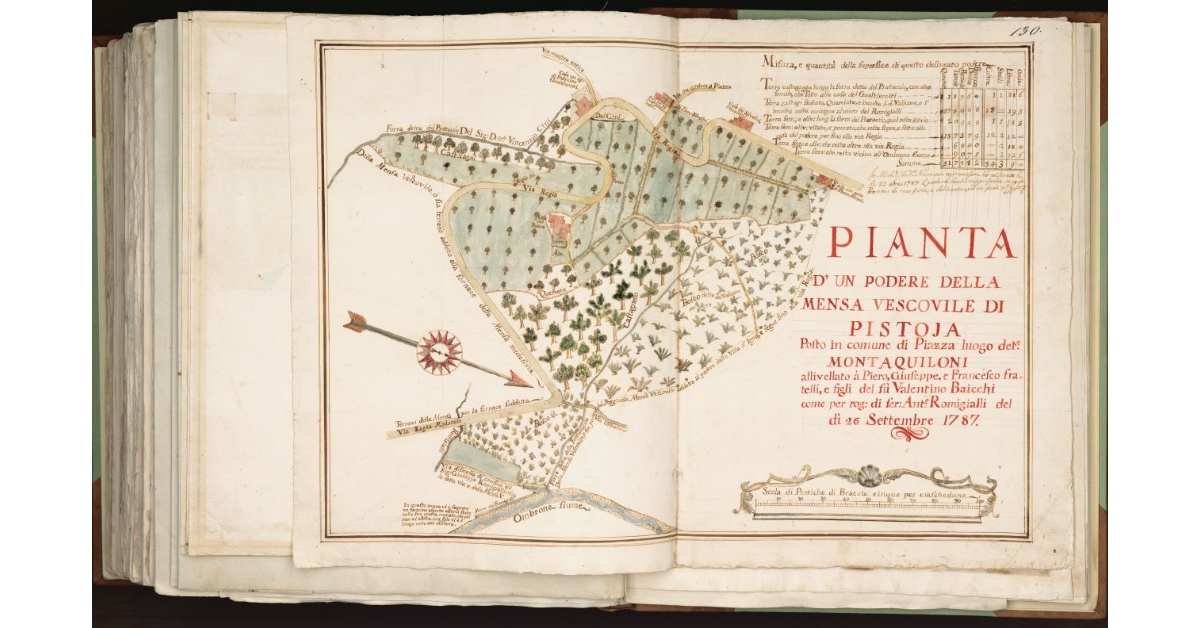 Pianta di un Podere della Mensa Vescovile di Pistoia posto in comune di Piazza luogo detto Montaquiloni [...]