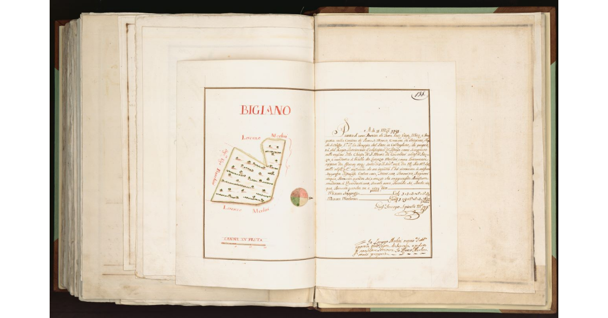 [Pianta di una presa di terra posta nel Comune di] Bigiano