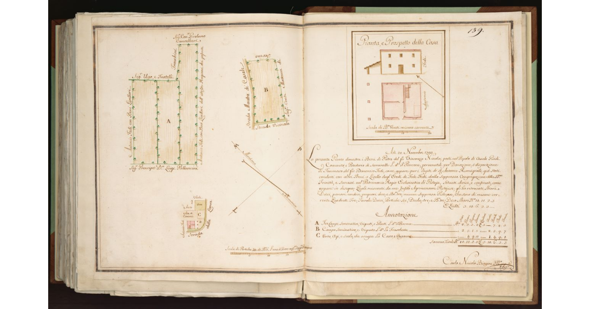 [Pianta del Podere del Pancone nel Popolo di Casal Guidi]
