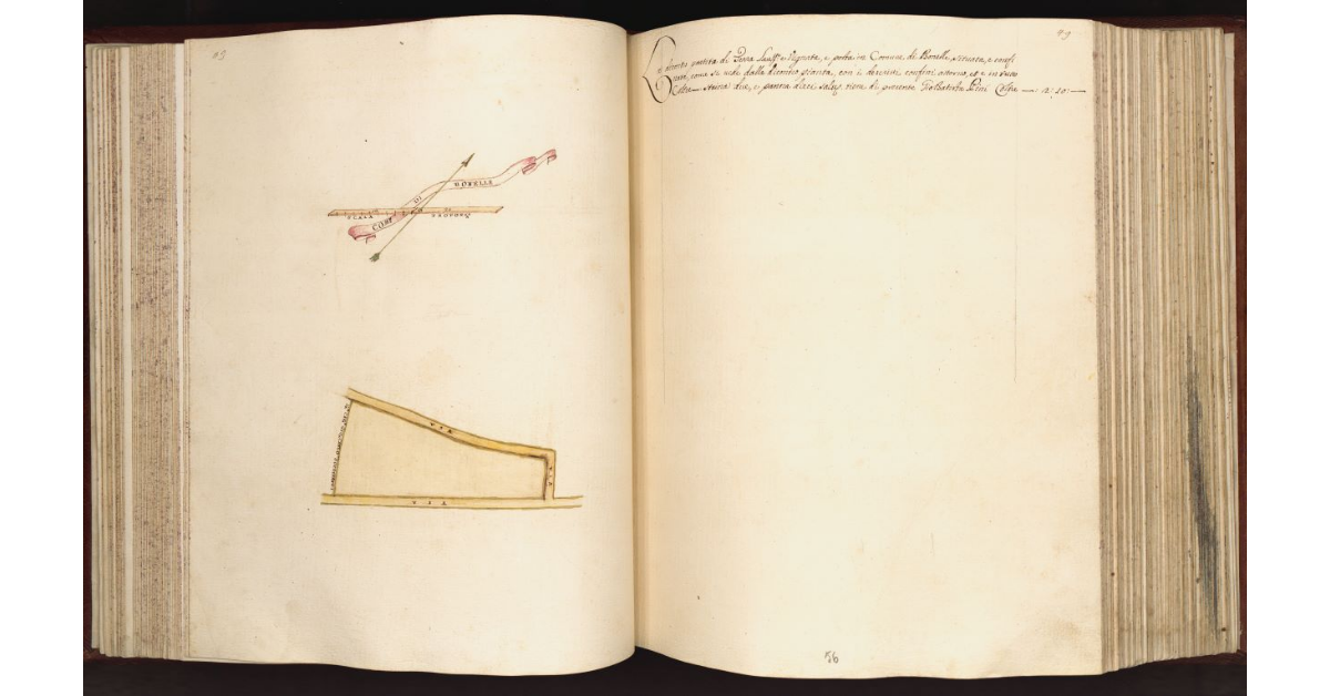 [Terra in] Com.e di Bonelle