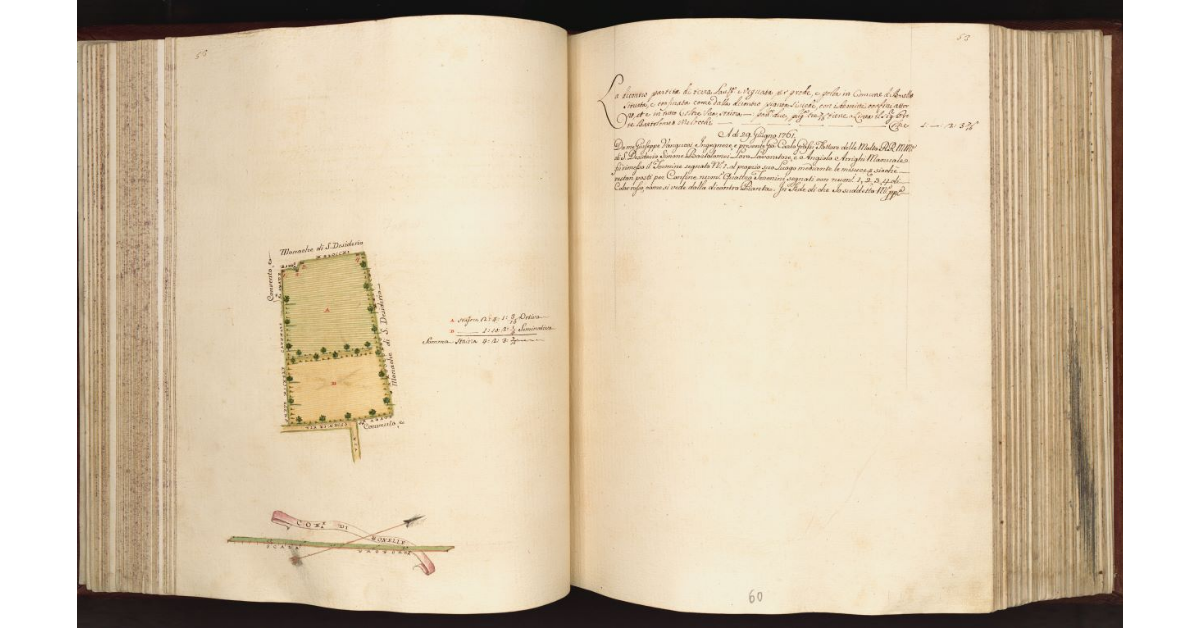 [Terra in] Com.e di Bonelle