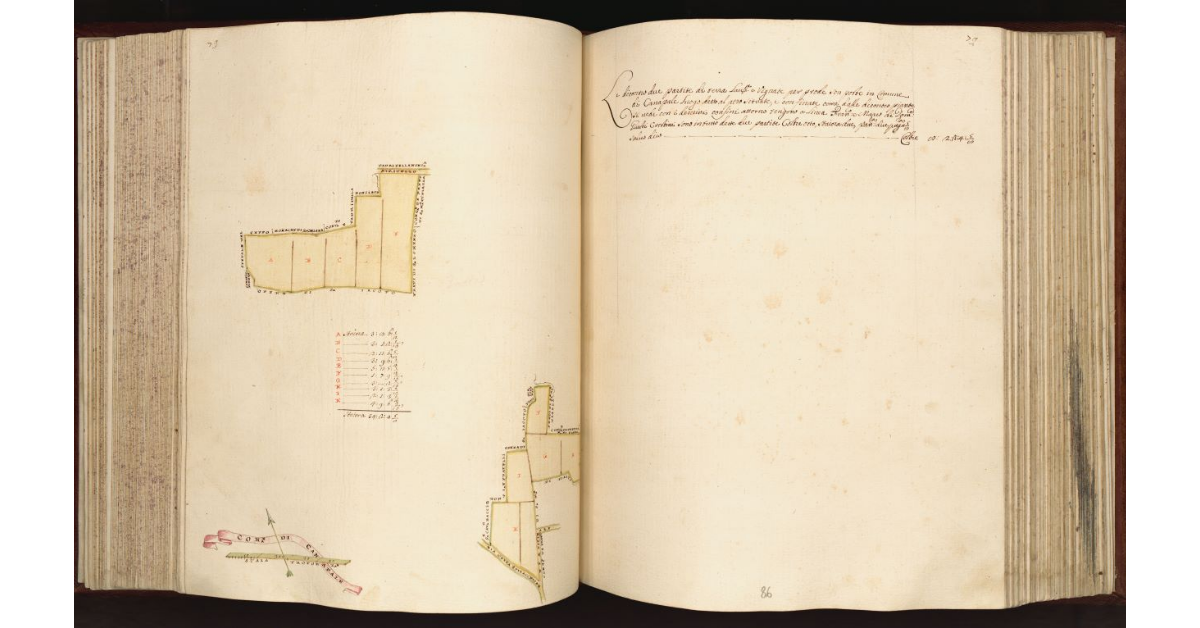 [Terra in] Com.e di Canapale