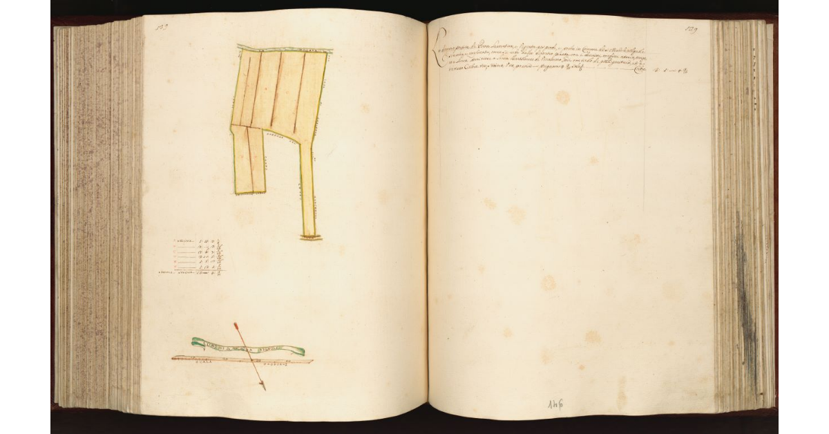 [Terra in] Com.e di S. Michele a Vignole