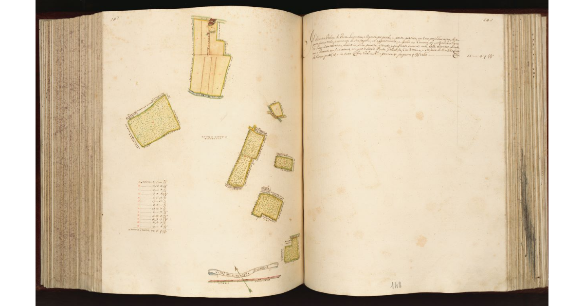 [Podere in] Com.e di S. Michele a Vignole