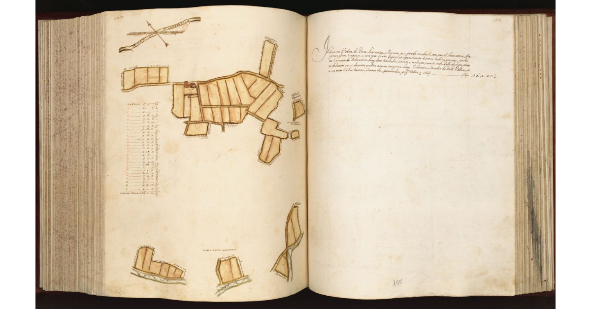 [Podere in] Com.e di Valenzatico