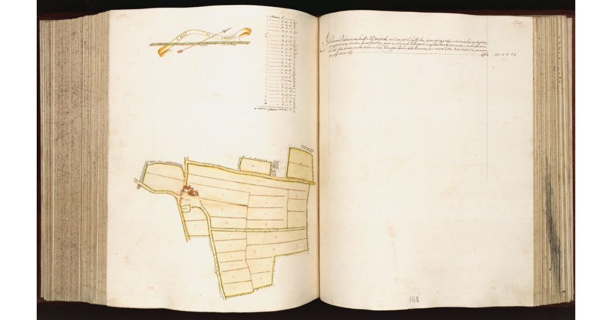 [Podere in] Com.e di Valenzatico