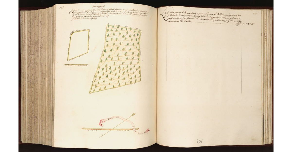 [Terra in] Com.e di Valdibrana