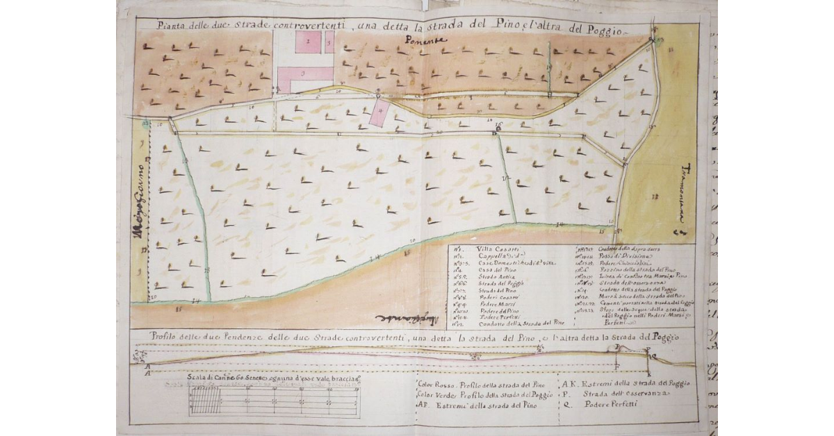 Pianta delle due Strade controvertenti, una detta la strada del Pino, e l'altra del Poggio [e] _x000B_Profilo delle due Pendenze delle due Strade controvertenti una detta la Strada del Pino, e l'altra detta la Stada del Poggio [a Capraia di Siena]