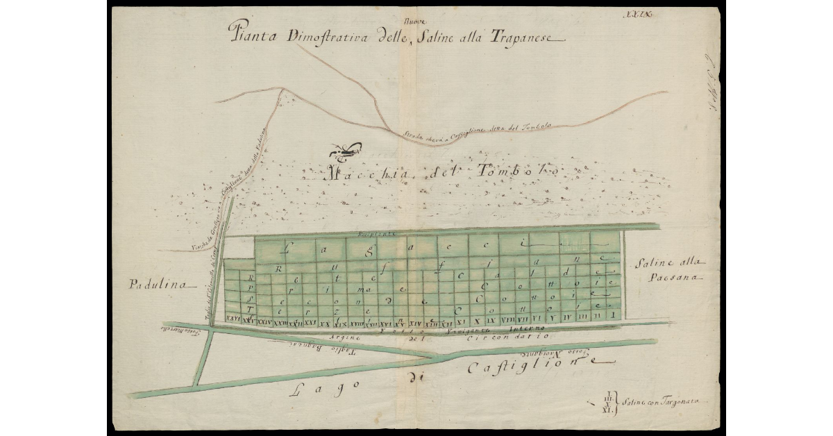 Pianta dimostrativa delle nuove saline alla Trapanese [delle Marze]