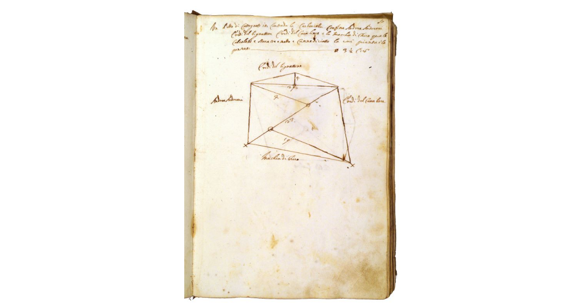 [Castagneto in contrada ''la Carboncella'']