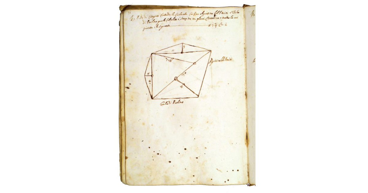 [Castagneto in contrada "la Carboncella"]