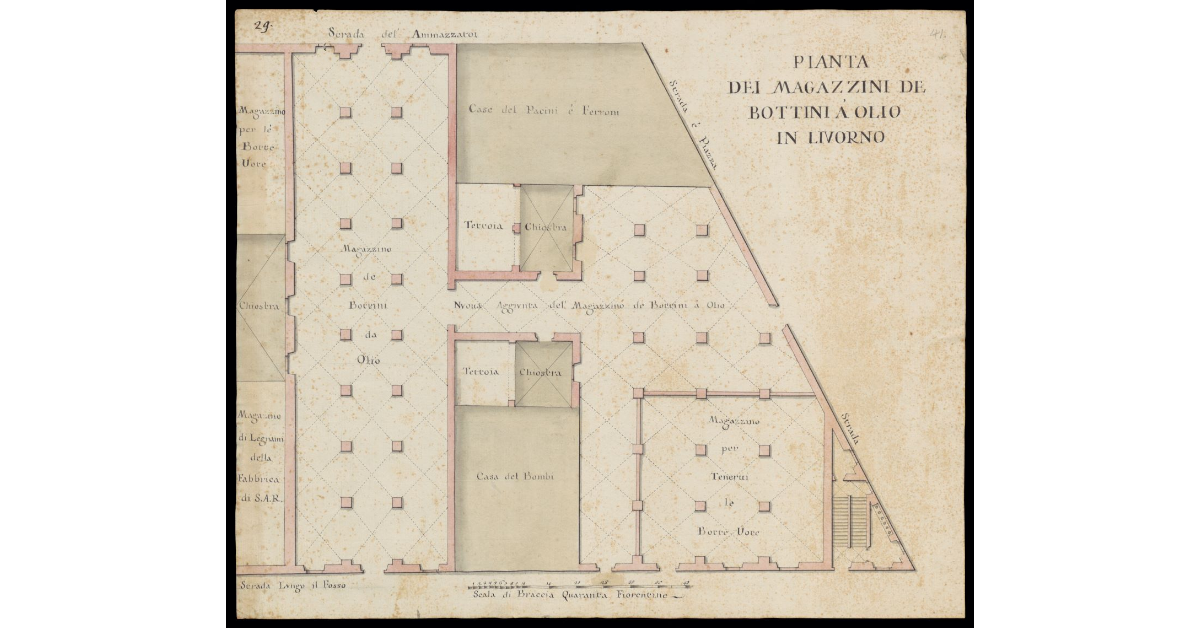 Pianta dei Magazzini de Bottini a olio in Livorno