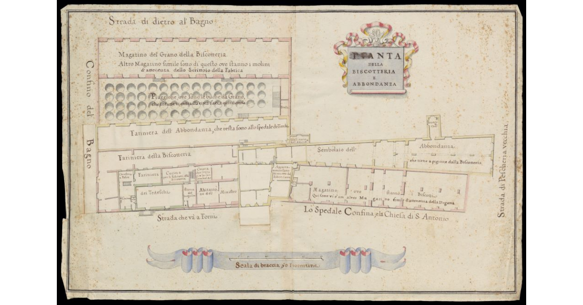 Pianta della Biscotteria e abbondanza