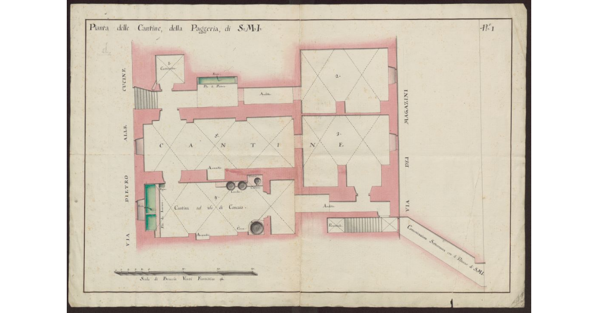Pianta delle cantine della Paggeria di S.M.I. [in Livorno]