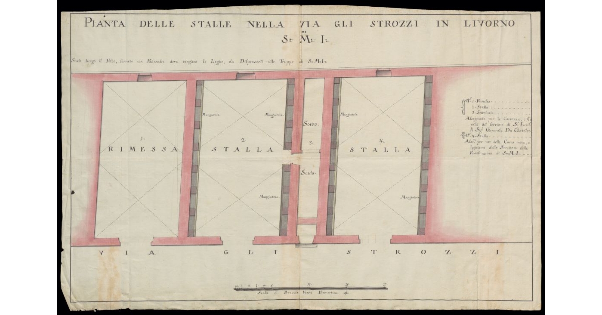 Pianta delle stalle nella Via gli Strozzi in Livorno