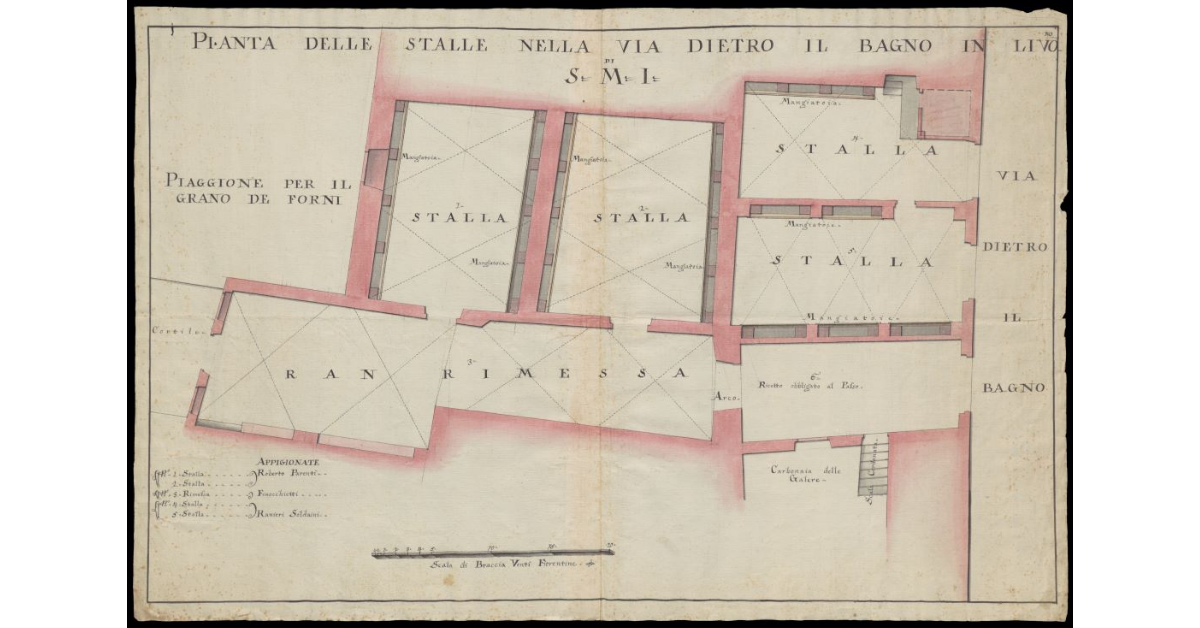 Pianta delle stalle nella Via dietro il Bagno in Livorno di S.M.I