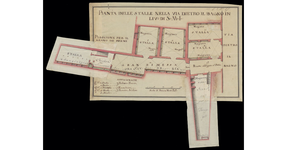 Pianta delle stalle nella Via dietro il Bagno in Livorno di S.M.I. [variante]