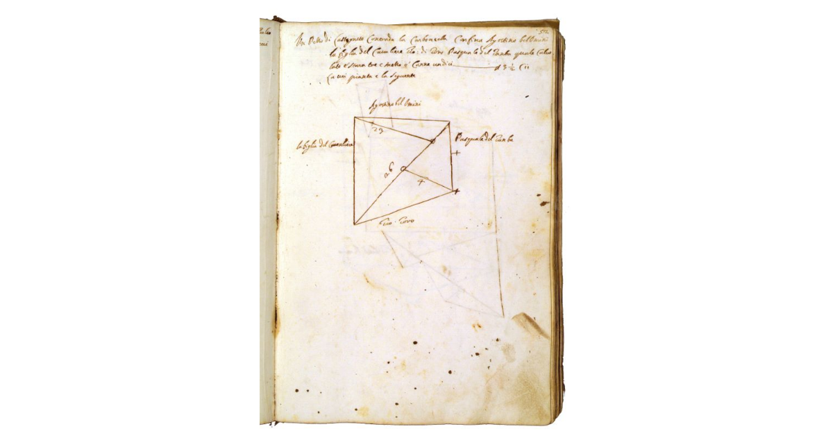 [Castagneto in contrada "la Carboncella"]