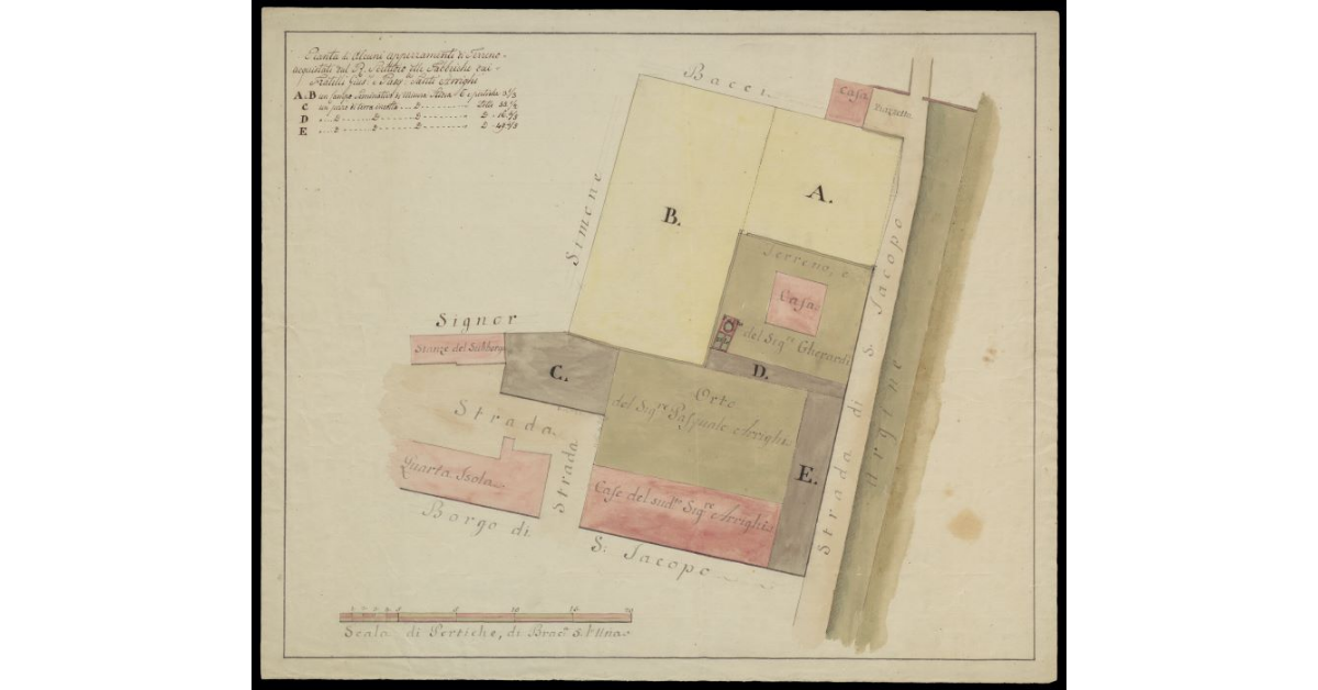 Pianta di alcuni appezamenti di terreno acquistati dal R. Scrittoio delle Fabbriche dai Fratelli Giuseppe e Pasquale Santi Arrighi