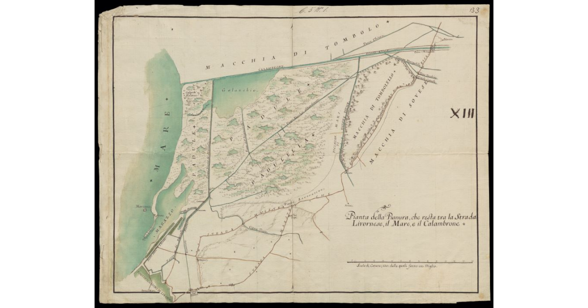Pianta della pianura che resta tra la Strada Livornese, il Mare e il Calambrone