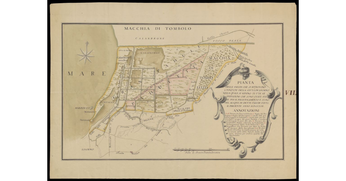 Pianta delle paludi che si ritrovano a Ponente della Città di Livorno nella quale si vedono tutte le operazioni che sono state fatte per il prosciugamento e scolo delle acque di dette paludi
