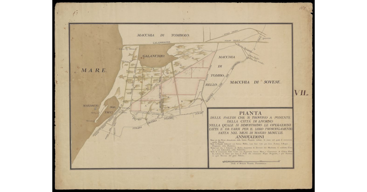 Pianta delle paludi che si ritrovano a Ponente della Città di Livorno nella quale si dimostrano le operazioni fatte e da farsi per il loro prosciugamento