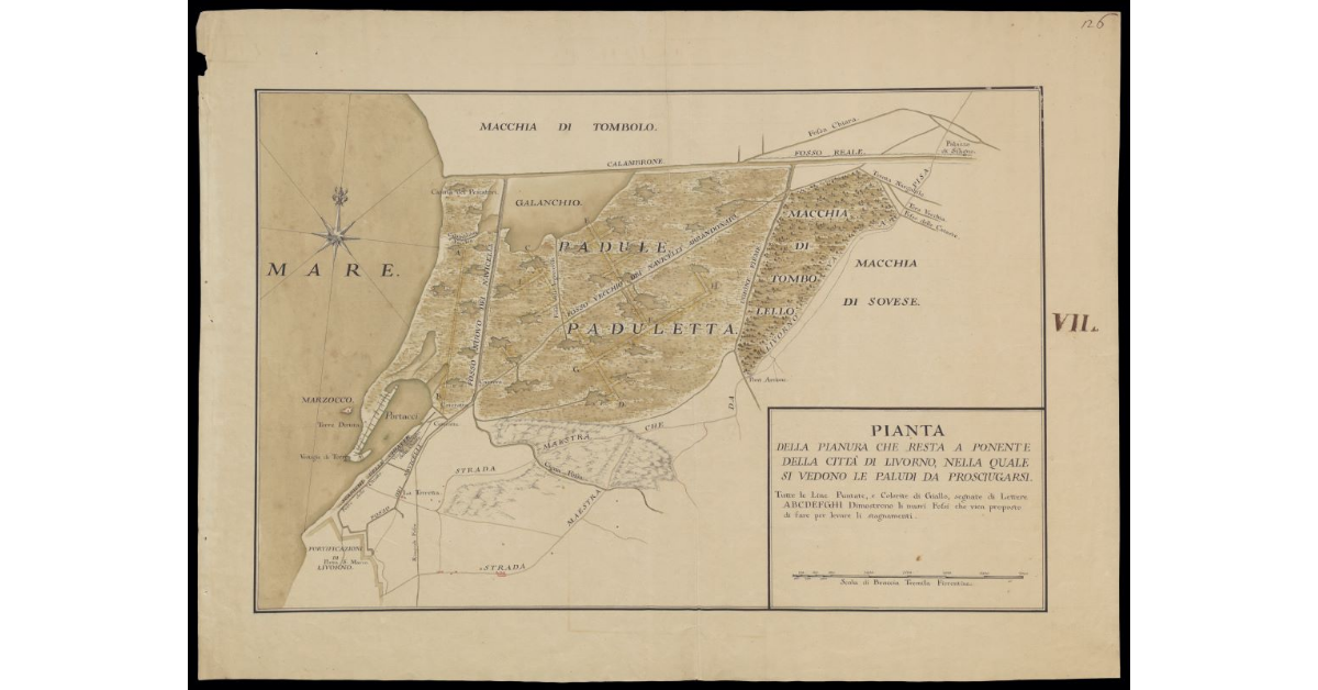 Pianta della pianura che resta a Ponente della Città di Livorno, nella quale si vedono le paludi da prosciugarsi