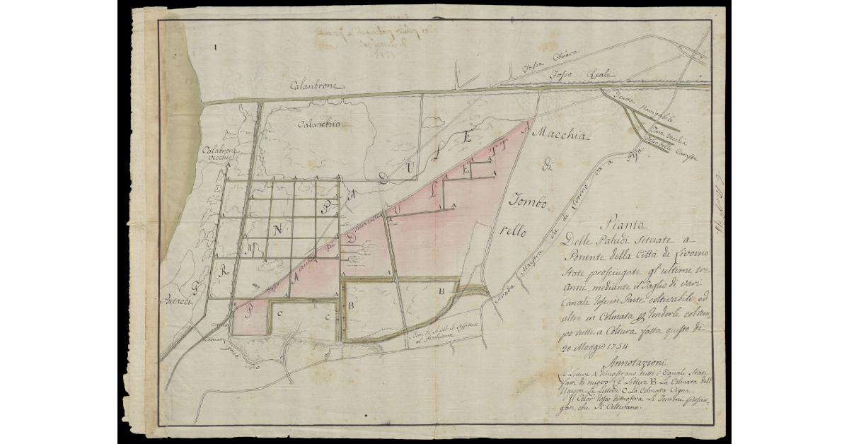 Pianta delle paludi situate a Ponente della Città di Livorno state prosciugate gl'ultimi tre anni, mediante il taglio di vari canali rese in parte coltivabili ed altre in colmata per renderle col tempo tutte a coltura