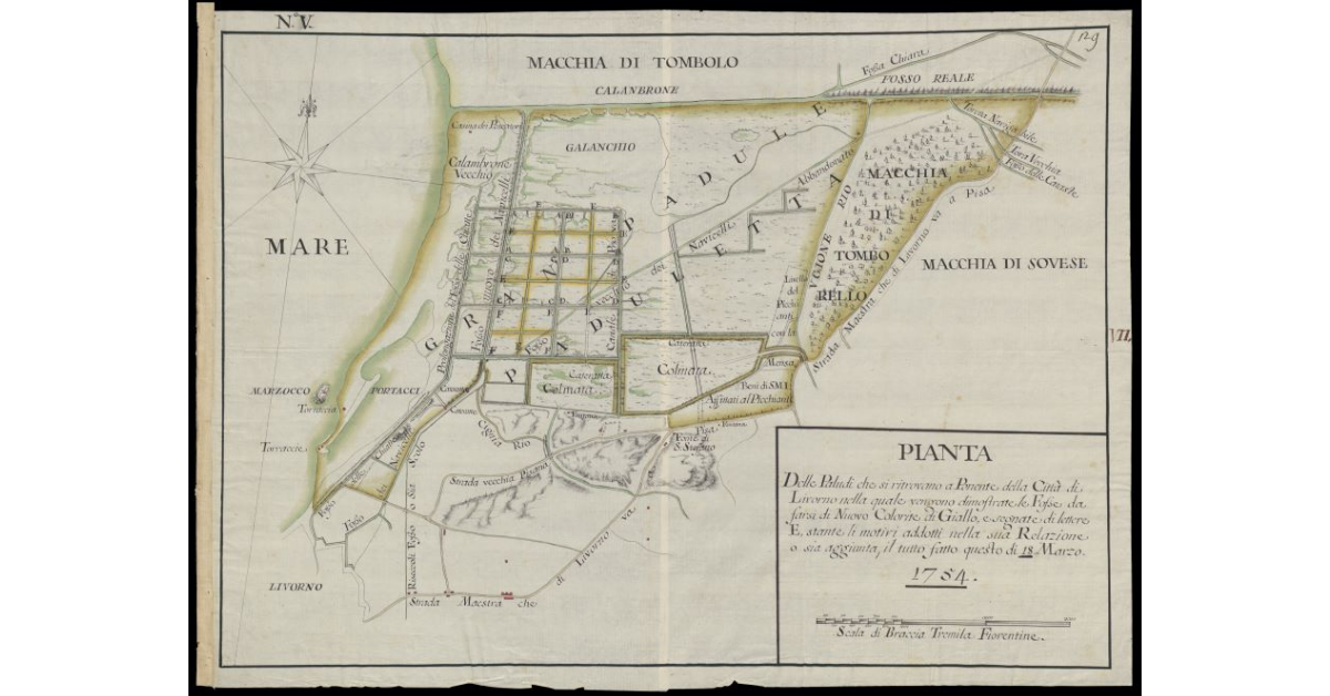 Pianta delle Paludi che si ritrovano a Ponente della Città di Livorno nella quale vengono dimostrate le Fosse da farsi di nuovo