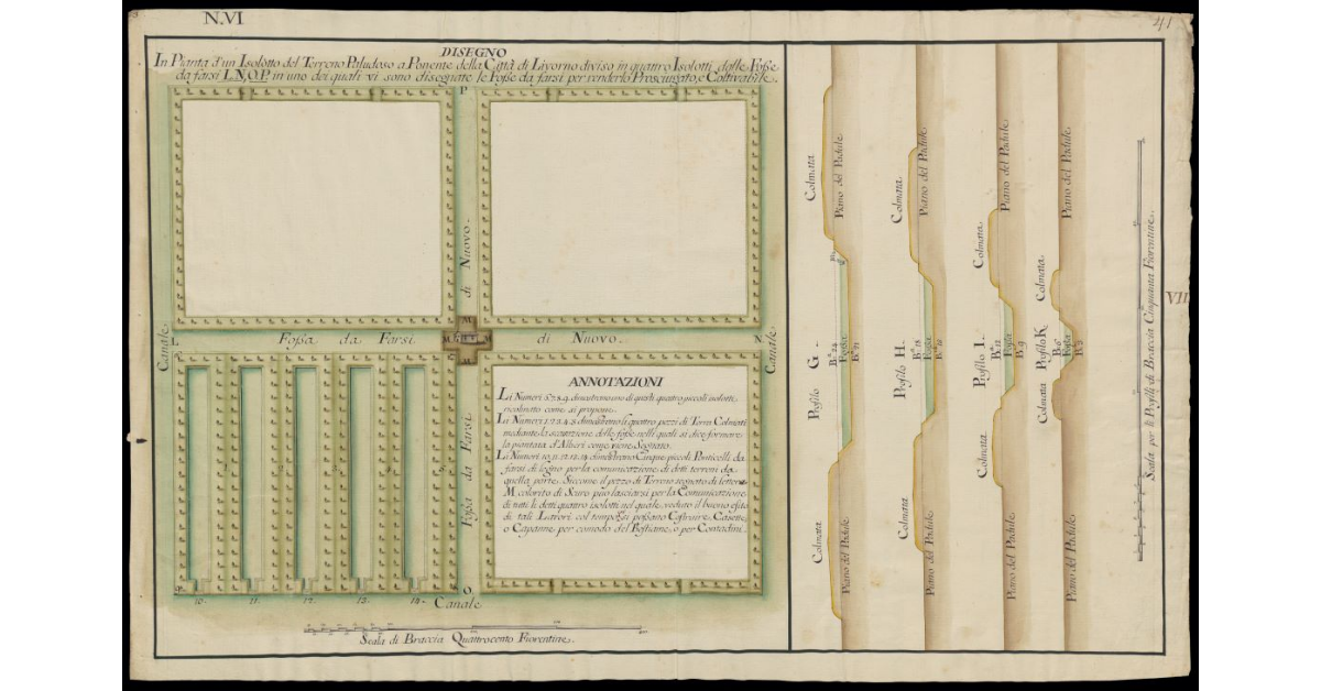 Disegno in pianta d'un isolotto del terreno paludoso a Ponente della Città di Livorno diviso in quattro isolotti dalla fosse da farsi