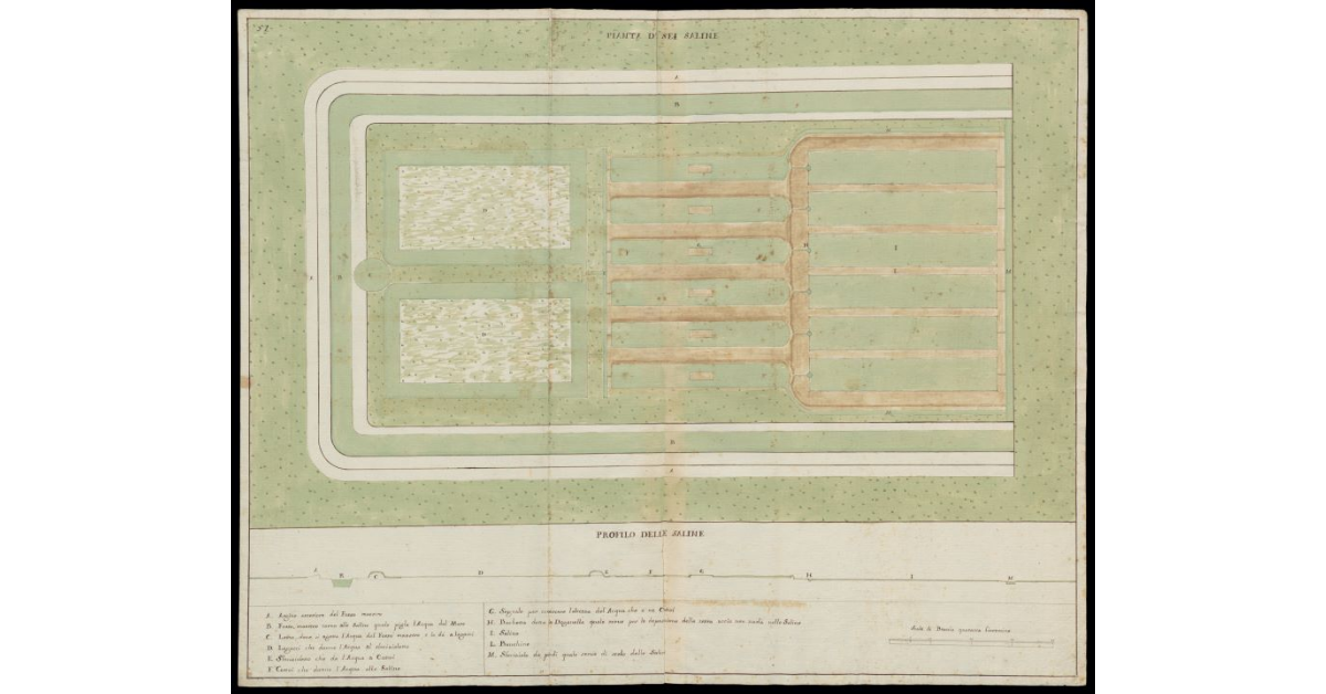 Pianta di sei Saline. Profilo delle Saline [di Portoferraio]