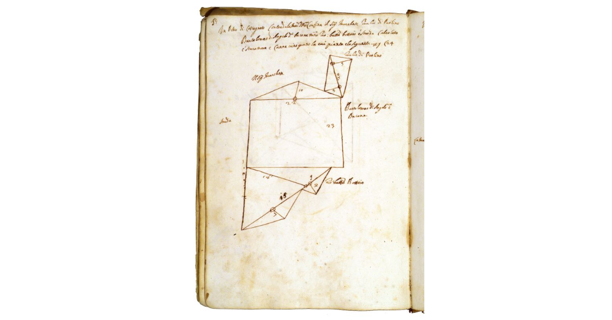 [Castagneto in contrada "la Madonna di San Pietro"]