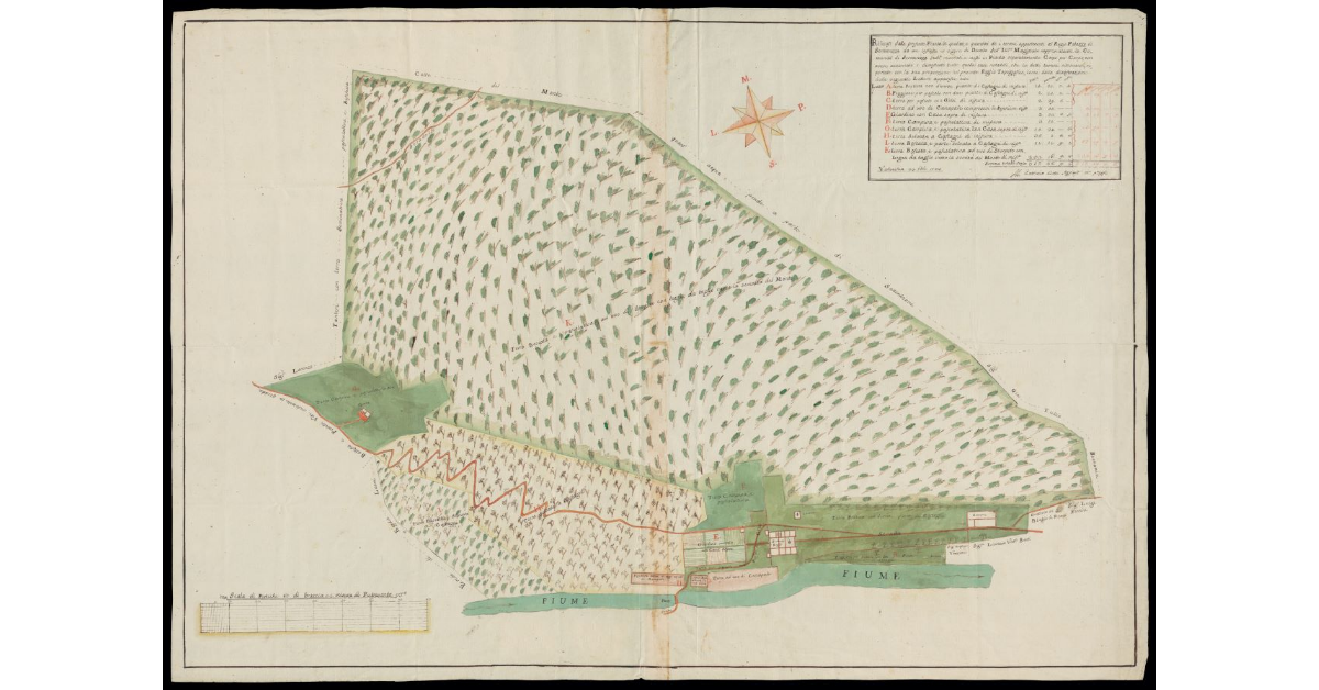 [Pianta dei] terreni appartenenti al Regio Palazzo di Serravezza
