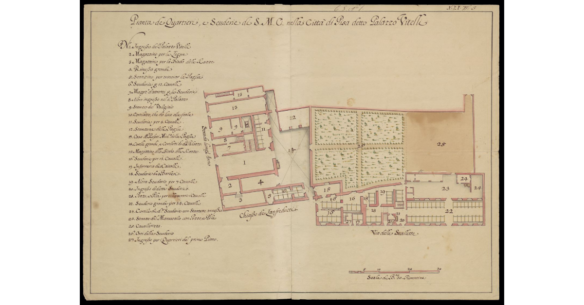 Pianta de quartieri e scuderie di S.M.C. nella Città di Pisa detto Palazzo Vitelli