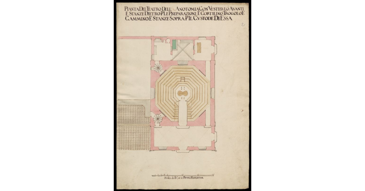 Pianta del Teatro dell'Anotomia [della Sapienza di Pisa] con vestibolo avanti e stanze dietro per le preparazioni e cortilino trogolo e cammino e stanze sopra per il custode di essa