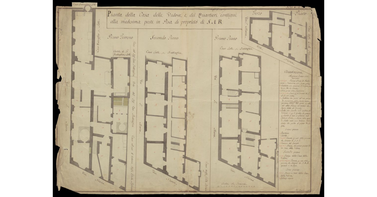 Pianta della Casa delle Vedove e dei quartieri contigui alla medesima posti in Pisa di proprietà di S.A.R