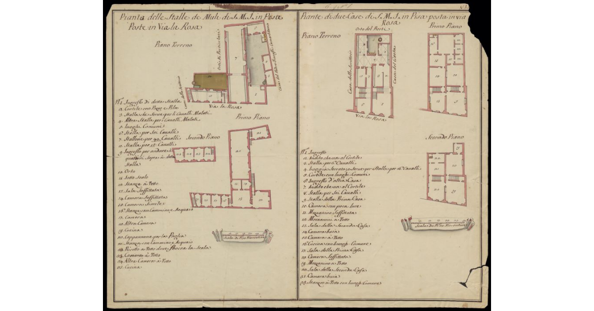 Pianta delle stalle de' muli di S.M.I. in Pisa poste in Via La Rosa. Pianta di due case di S.M.I. in Pisa poste in Via La Rosa