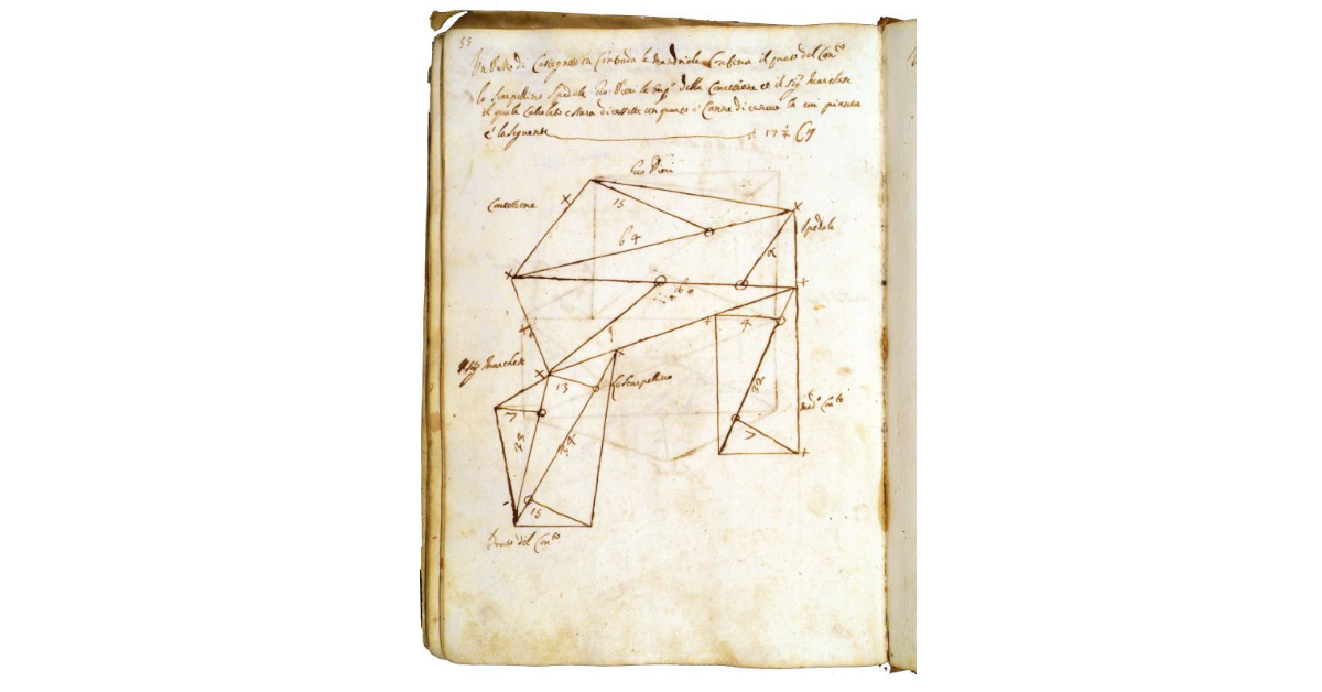 [Castagneto in contrada "le Mandriole"]