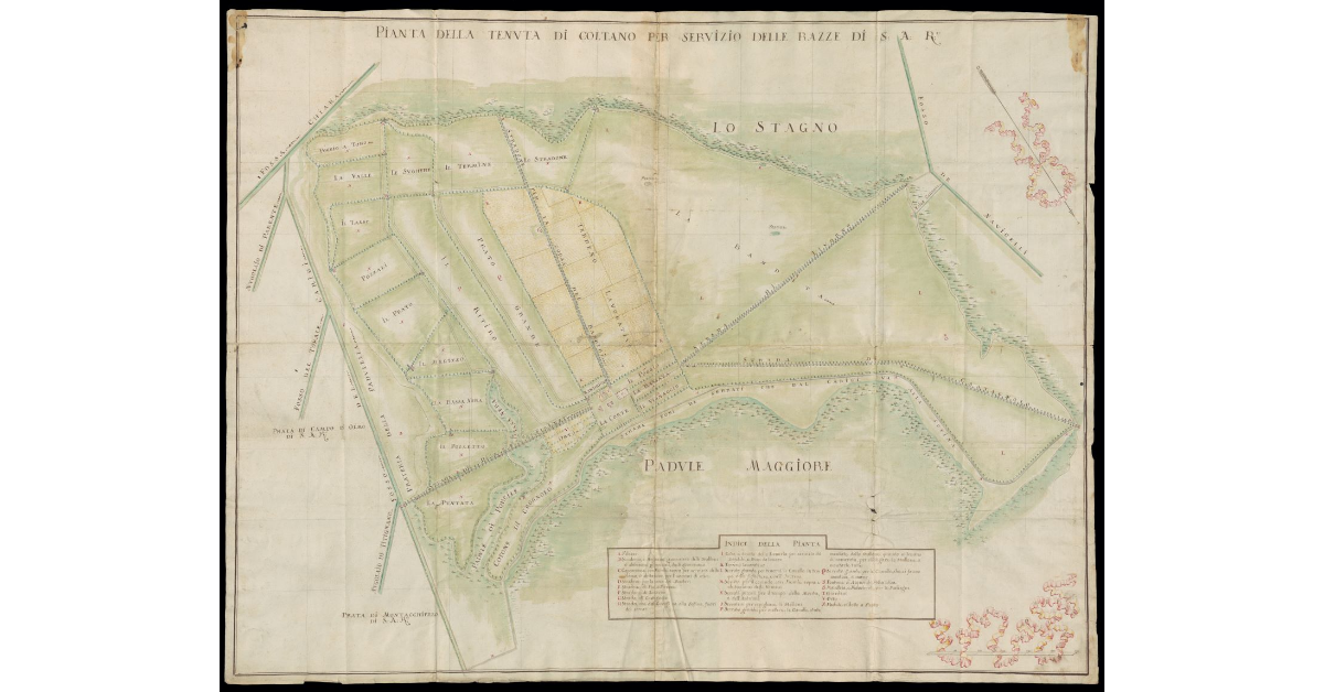 Plan de la Chasse de Saint Rossore distant de la Ville de Pise trois mille du Costé du Ponent