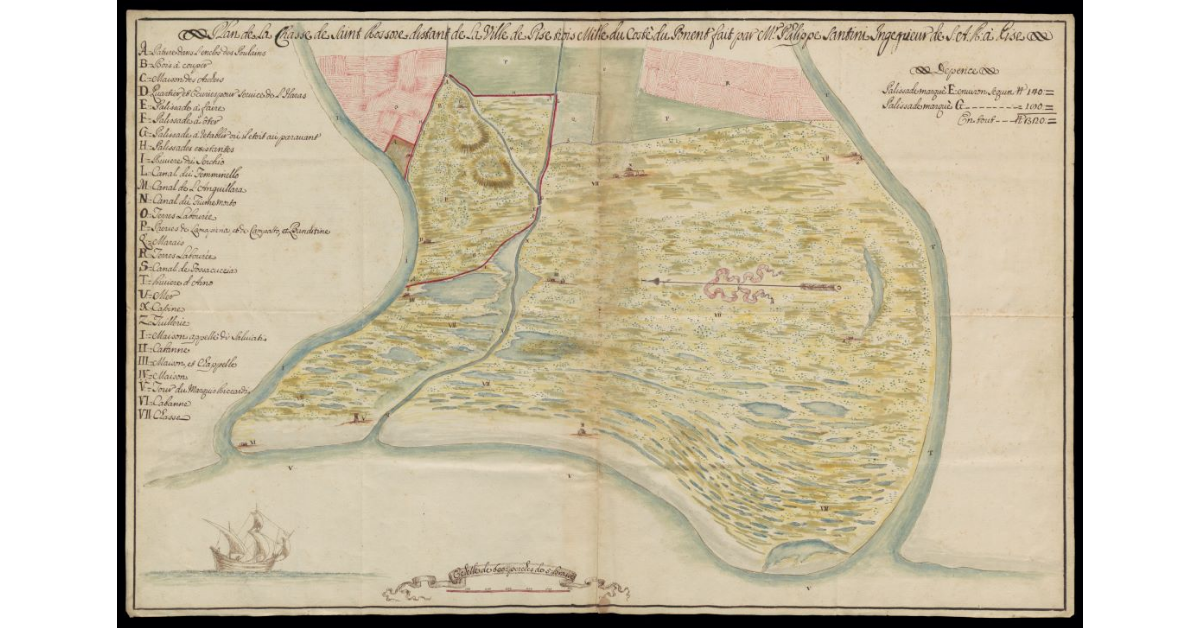 Pianta della Tenuta di Coltano per servizio delle razze di S.A.R