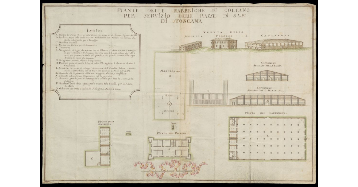 Pianta delle Fabbriche di Coltano per servizio delle razze di S.A.R. di Toscana
