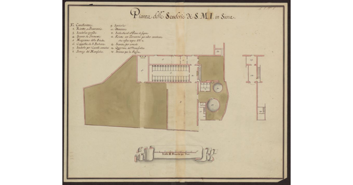 Pianta delle Scuderie di S.M.I. in Siena