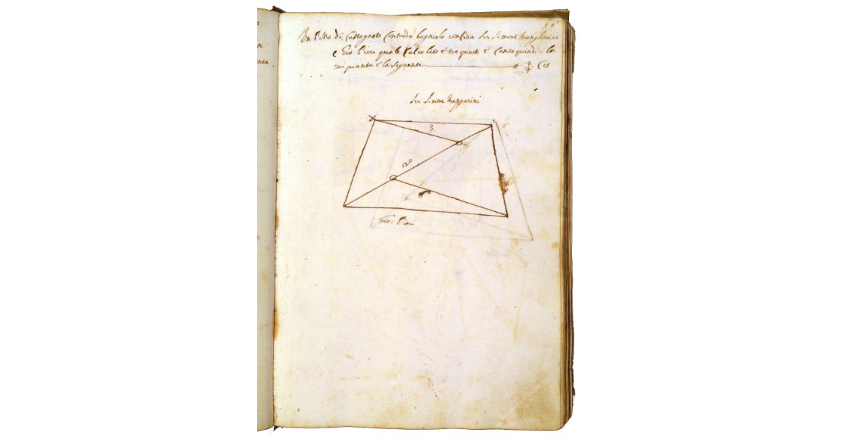 [Castagneto in contrada "Bagniolo"]